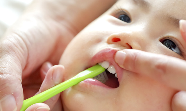 パパ・ママは家庭の歯医者さん